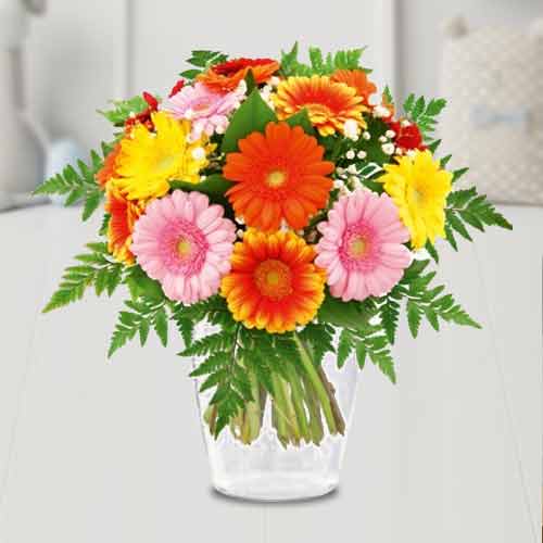 Multicolor Gerbera Bouquet-Send Birthday Gifts to Dortmund
