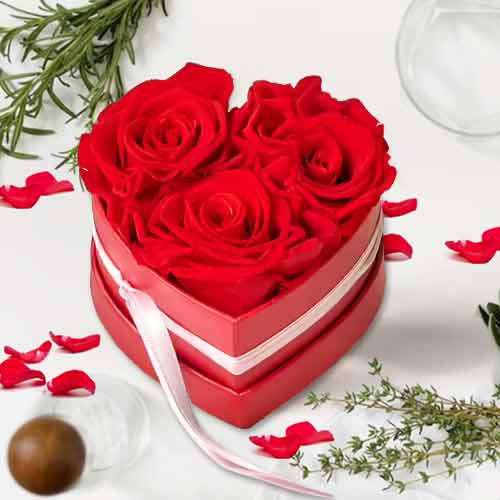 Lightly Love-Valentine's Day Gifts For Her Roses