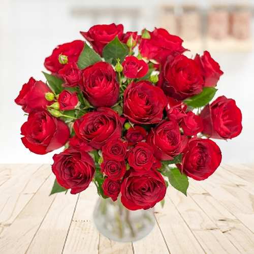 Elegant 10 Red Roses
