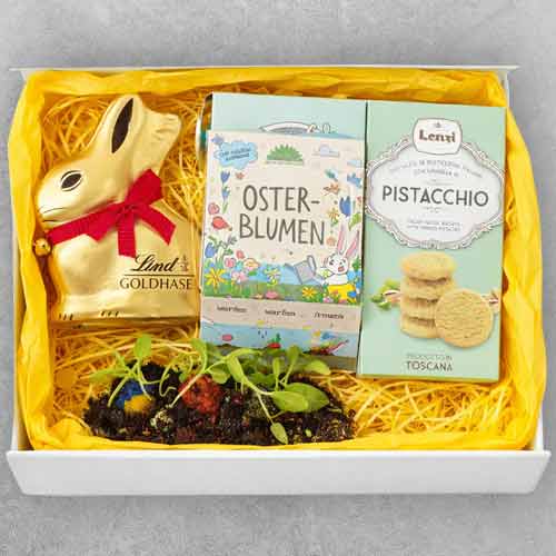 Easter Treats N Delights Box