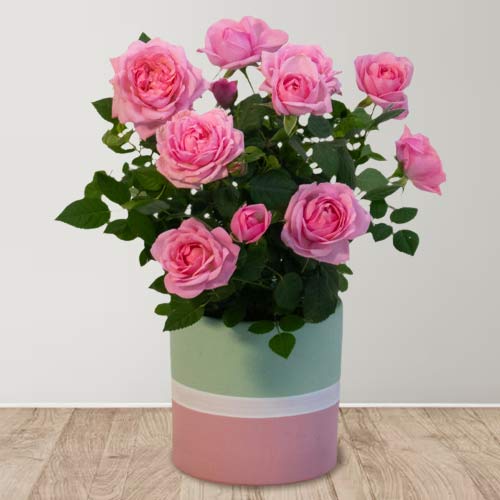 Present Ideas For Women