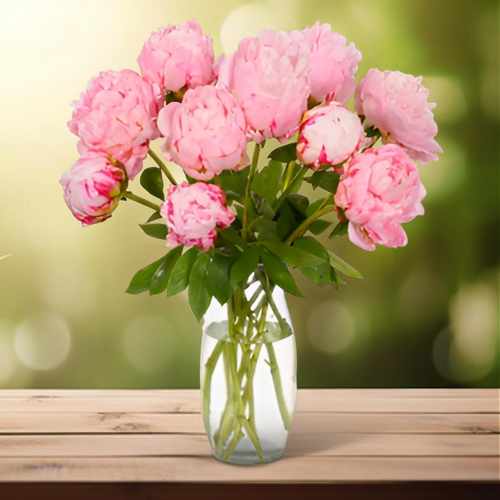 10 Fresh Sarah Bernard Peonies Bunch For Germany