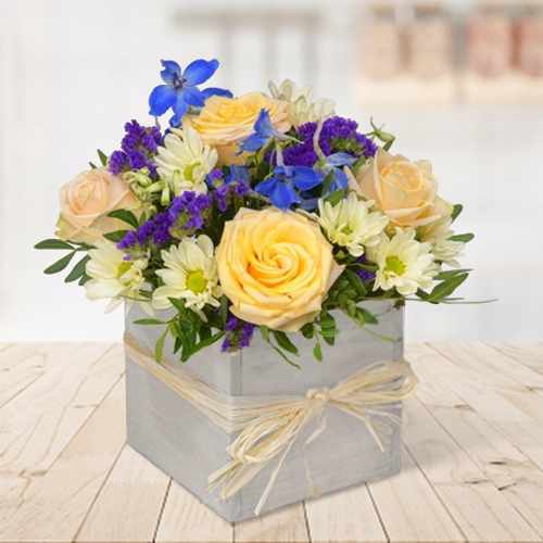 Cream Rose & Blue Delphinium Box Arrangement Delivery Online