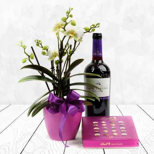 Orchid Gift With Chocolate and Pinotage 