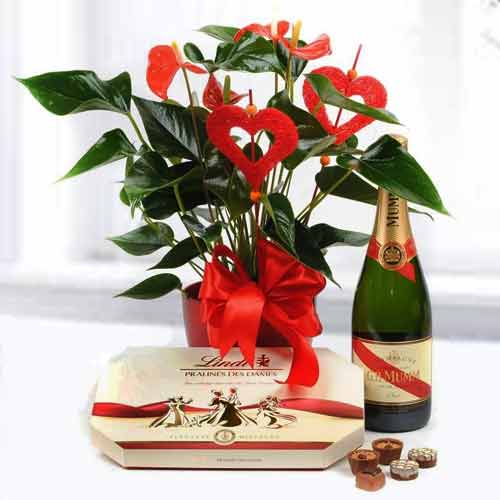 Anthurium with Chocolate Basket -Christmas Gift Basket Ideas For Sister