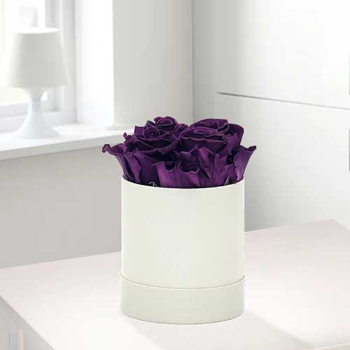 4 Long Lasting Purple Roses in a Hat Box