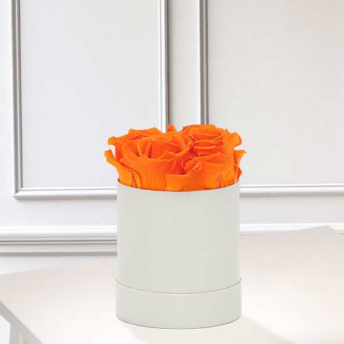 4 Long Lasting Orange Roses in a Hat Box-Infinity Roses Delivery