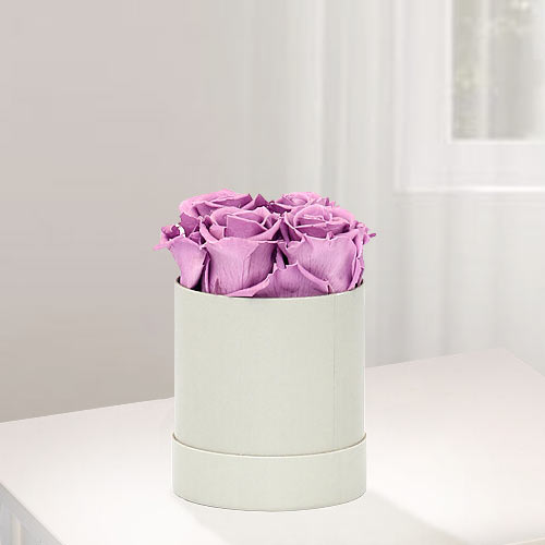 4 Long Lasting Lilac Roses in a Hat Box