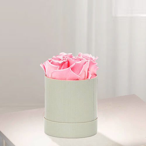 4 Long Lasting Light Pink Roses in a Hat Box-Everlasting Roses Delivery