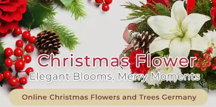 Online Christmas Flowers and Trees Germany