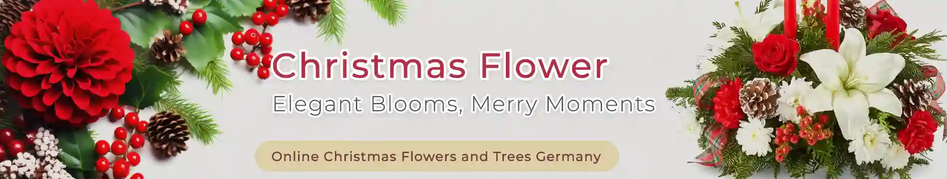 Online Christmas Flowers and Trees Germany