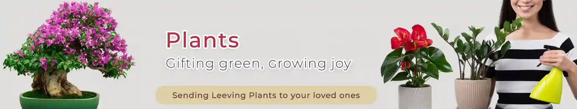 Online Plants Delivery in Germany